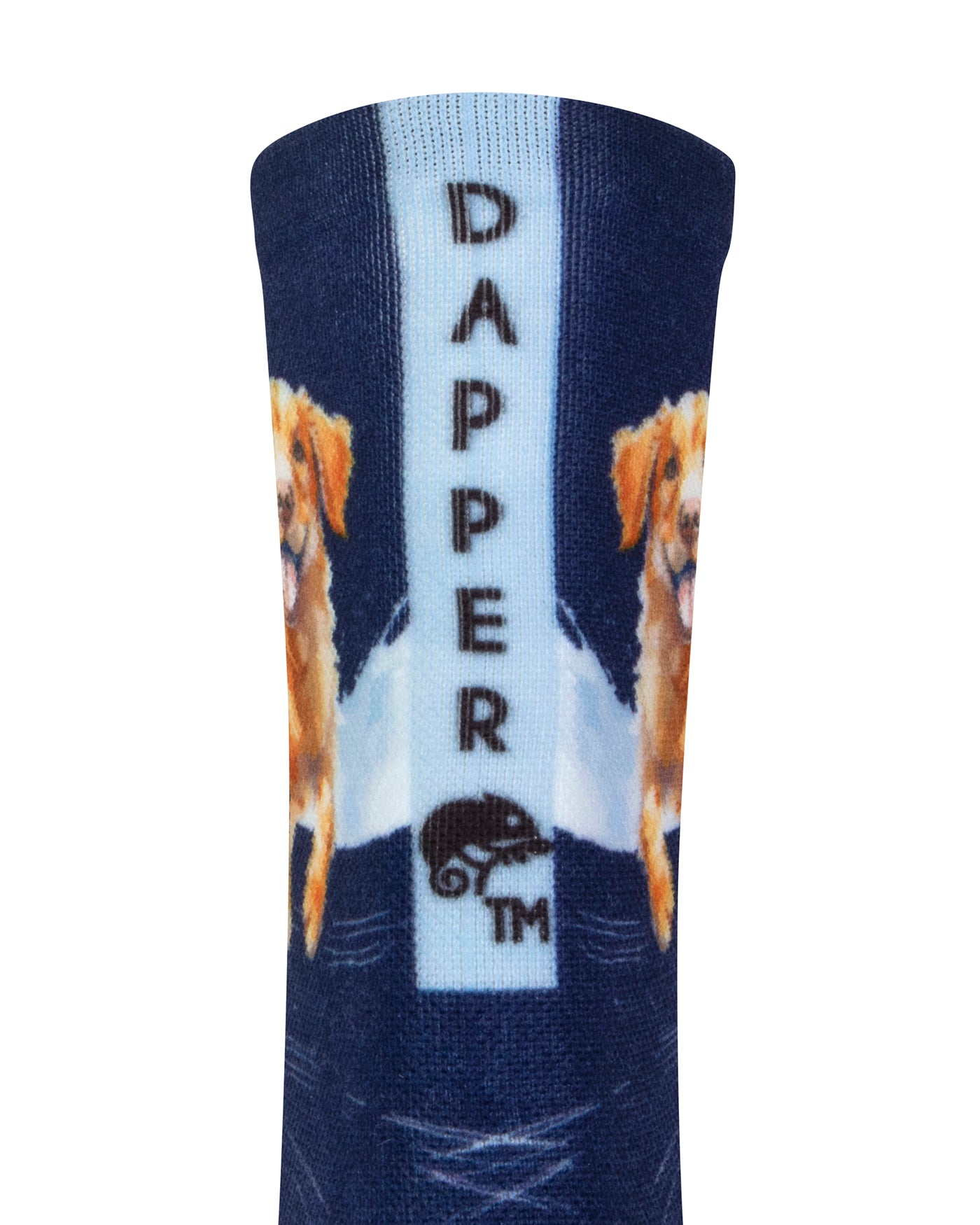 Back view of a dark blue seamless toe sock with golden retriever print design with a light blue strip with Dapper Chameleon wording and logo in black.