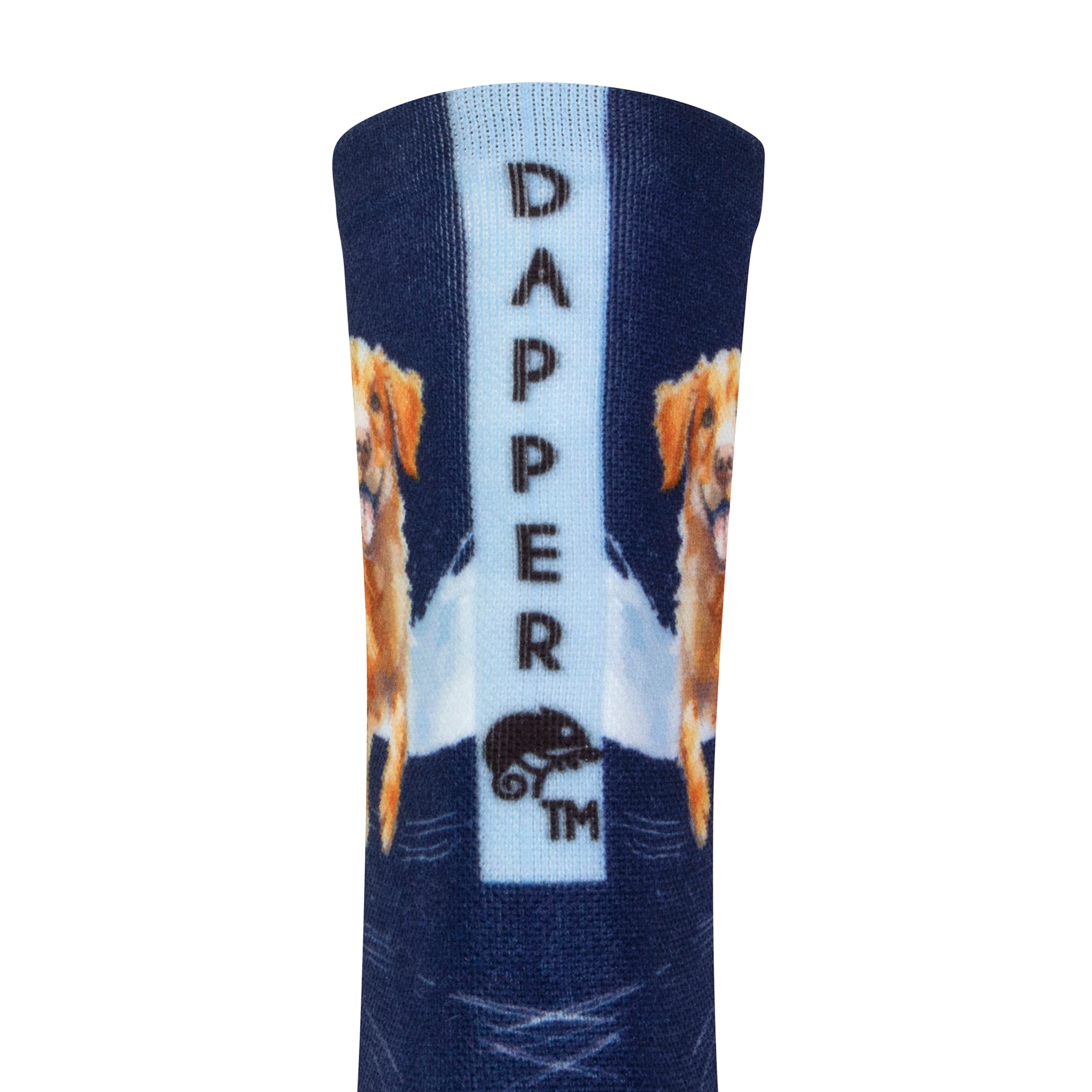 Back view of a dark blue seamless toe sock with golden retriever print design with a light blue strip with Dapper Chameleon wording and logo in black.
