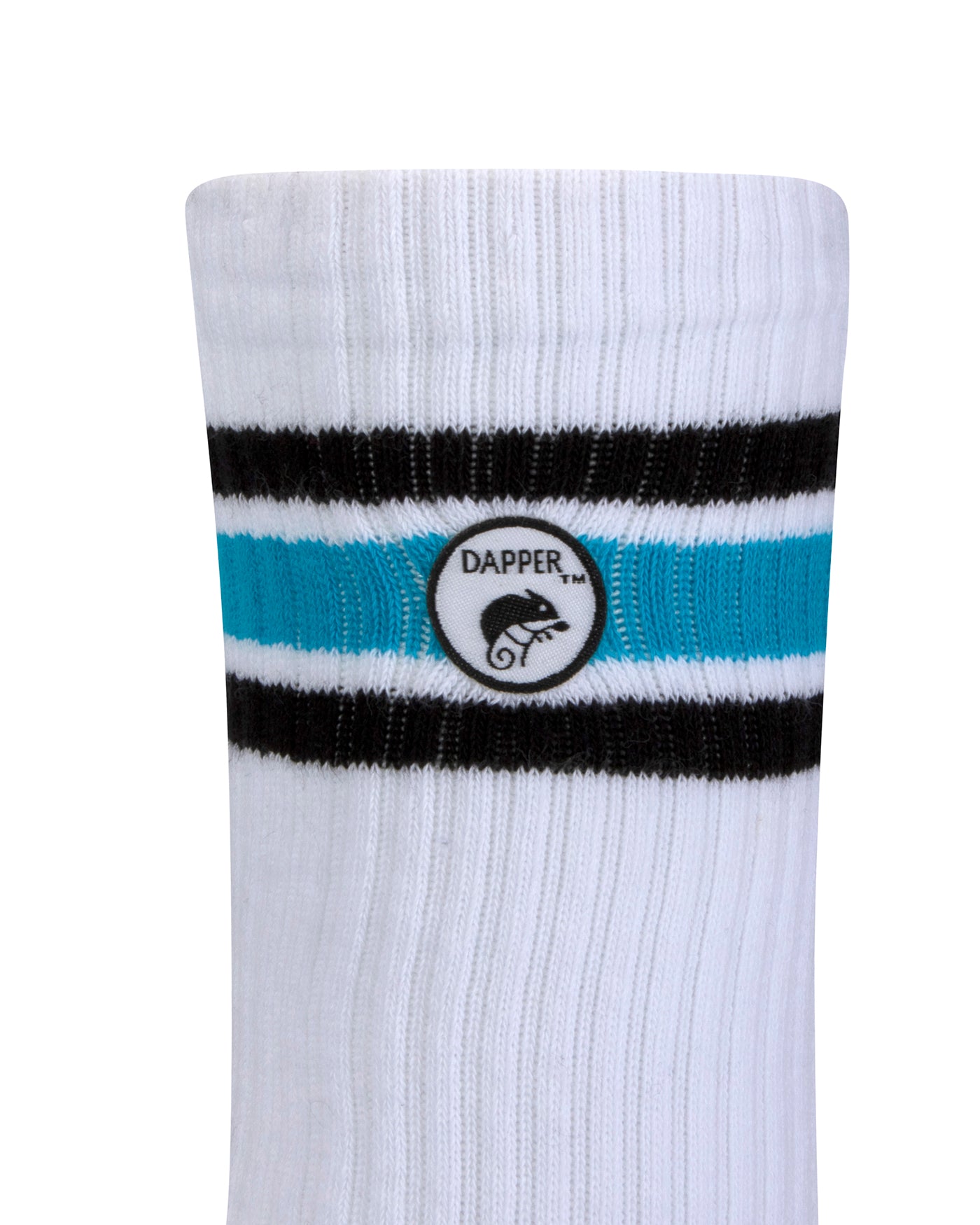 Side view of a long length ribbed white combed cotton seamless toe anklet with black and sky blue stripes with Dapper Chameleon logo.