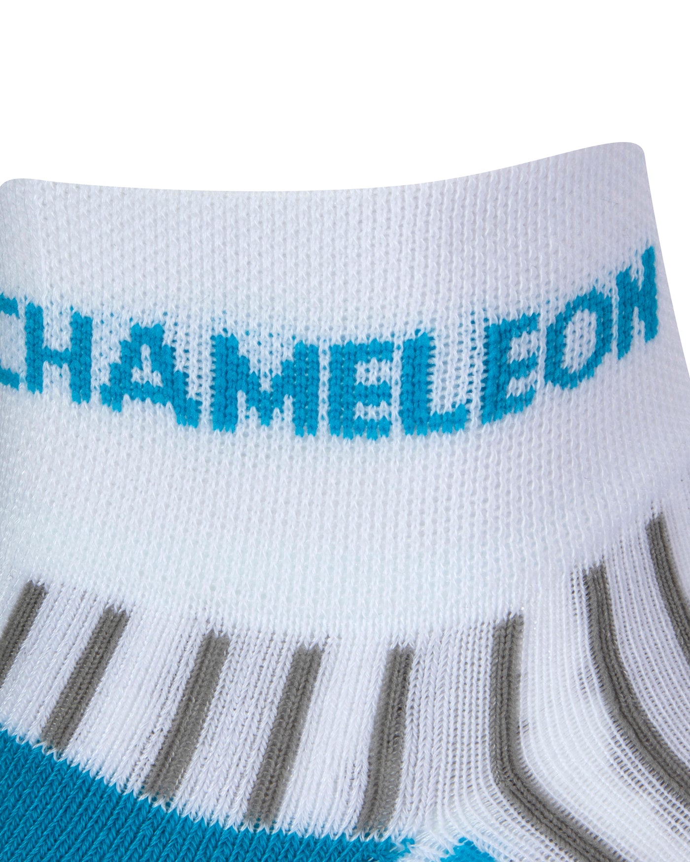 Side view of a white quarter length seamless toe sport sock with grey and sky blue stripes with a sky blue cushioned heel with sky blue Dapper Chameleon wording on the cuff.