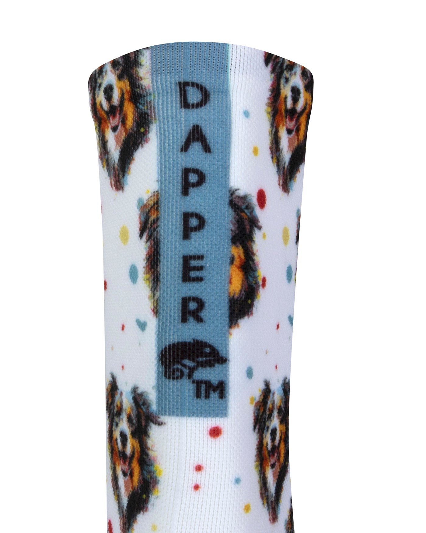Back view of a white seamless toe sock with bordercollie dog print design with a blue stonewashed strip with Dapper Chameleon wording and logo in black.